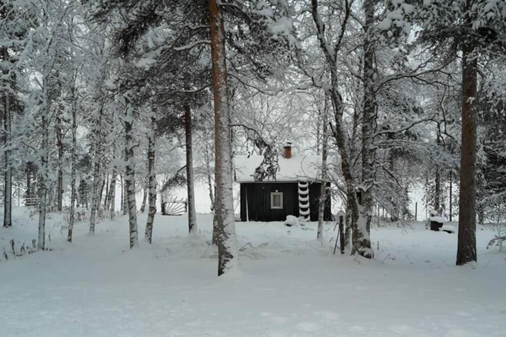 Виллы Villa Kaikuranta Неллимо